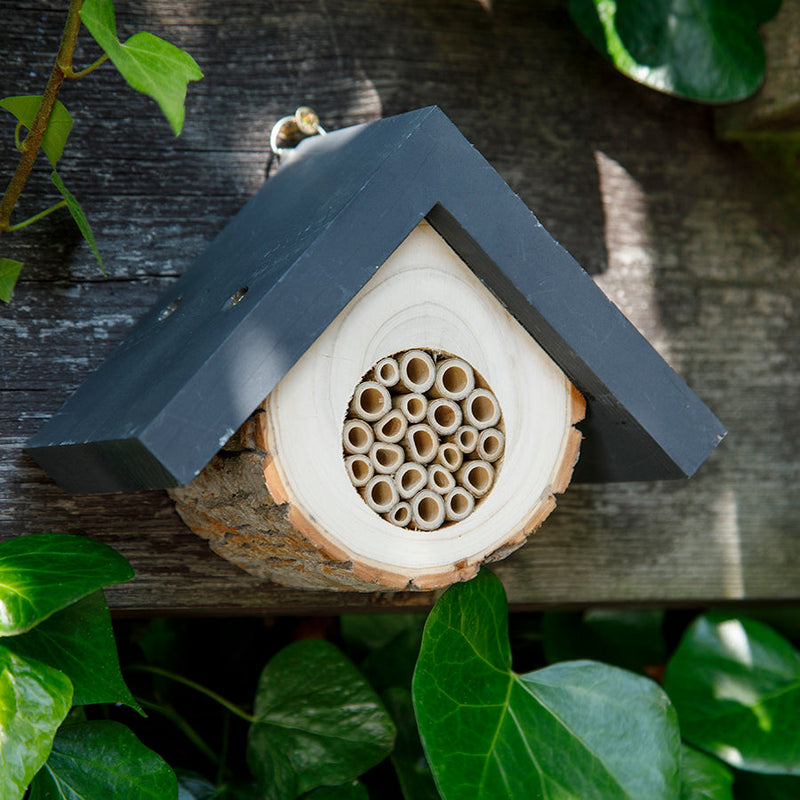 Ruche pour abeille solitaire : une idée cadeau écologique et éducative